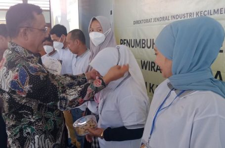 Bimtek Penumbuhan Wirausaha Baru Industri Kecil Menengah (IKM)