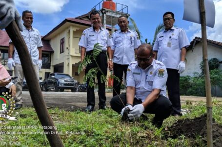 Penanaman Sejuta Pohon di wilayah Kabupaten Ketapang