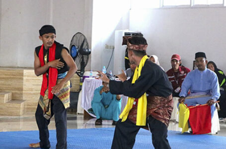 PERTANDINGAN SILAT SELENDANG