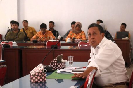 RDPU Plasma Negri Baru